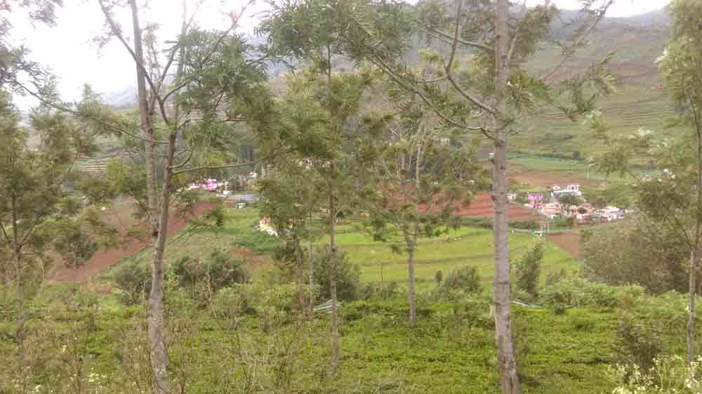 1 Acre farm land for sale Kotagiri